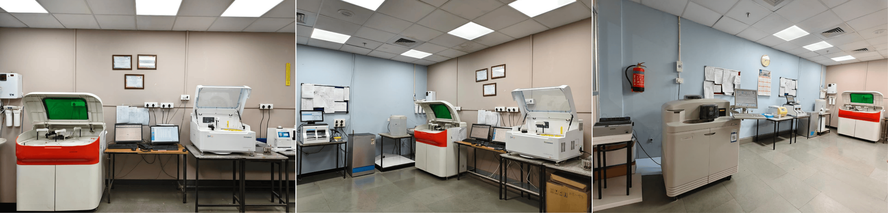 Clinical Biochemistry & Immunoassay Services